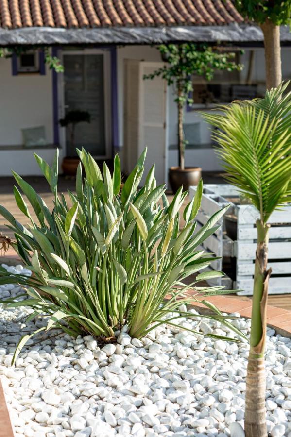Finca De L'Angles. Levante Potries Екстер'єр фото
